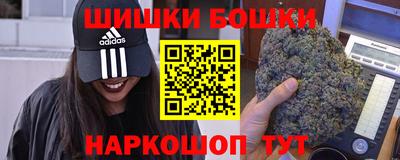 гашик Бийск