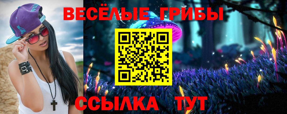 Галлюциногенные грибы Cubensis Зеленокумск